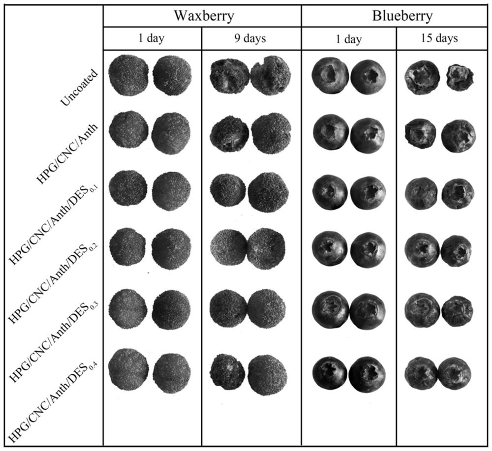 A preparation method of biological composite coating and intelligent colorimetric film material