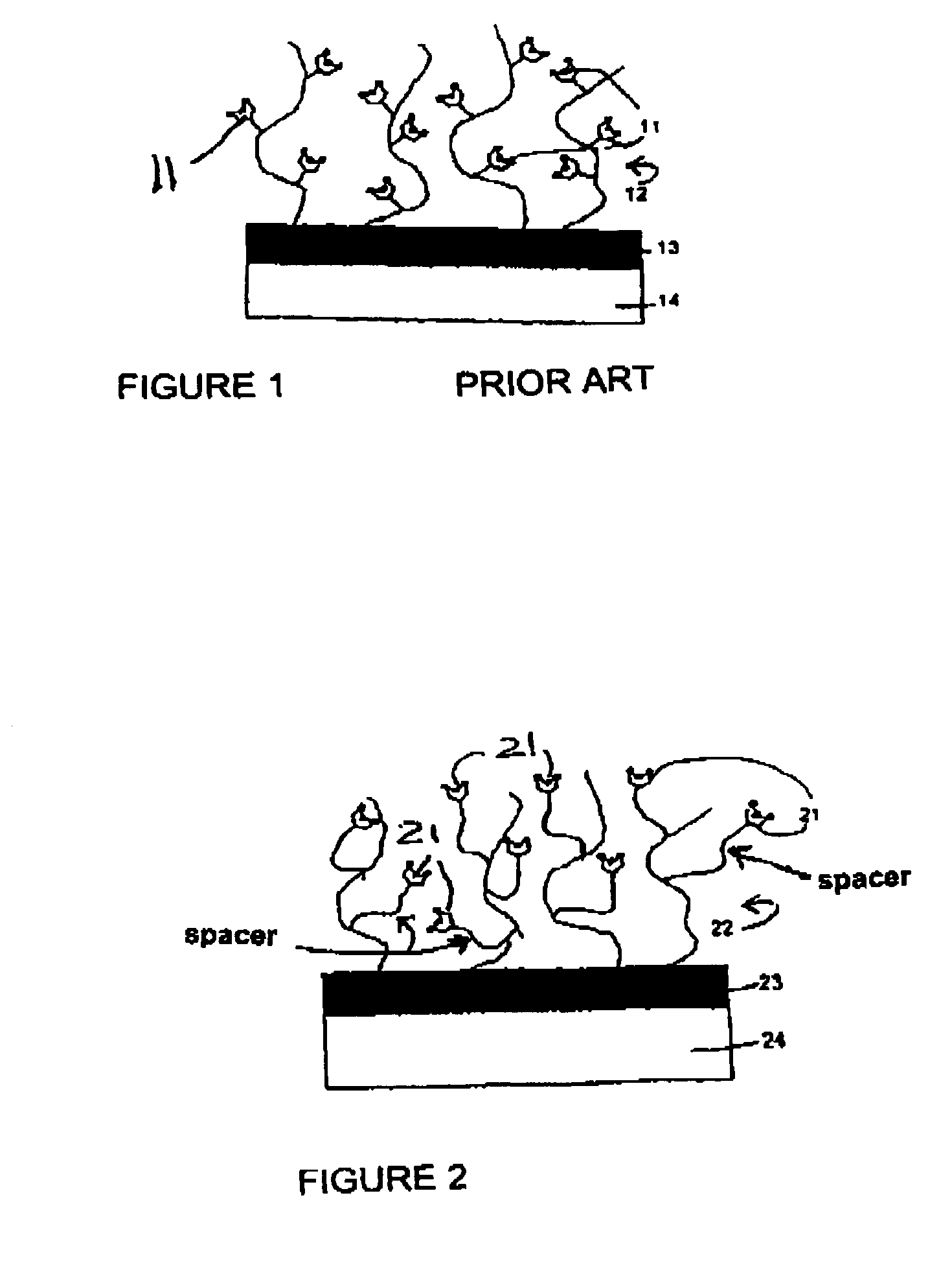 Surfaces comprising a hydrophilic spacer, covalently bonded to hydrogels