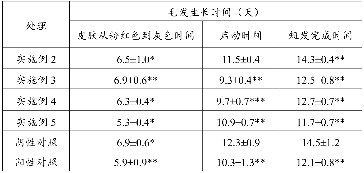 Gynostemma pentaphyllum plant extract solution and application thereof in preparation of medicine for promoting hair growth