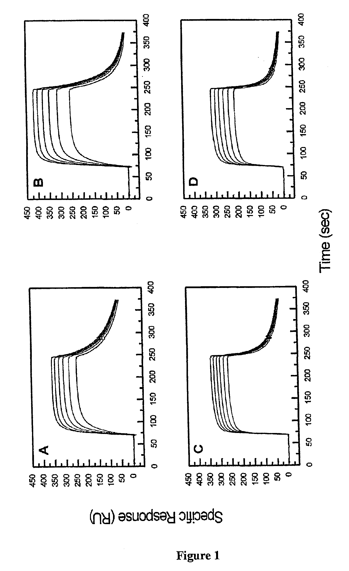 Truncated EGF receptor