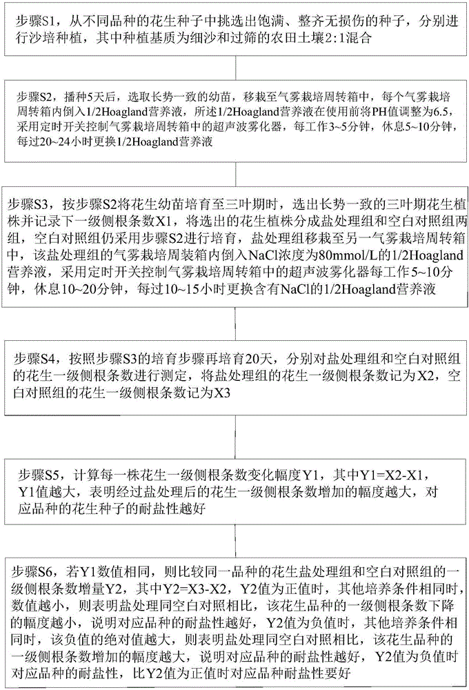 Method for screening salt-resistant peanut varieties