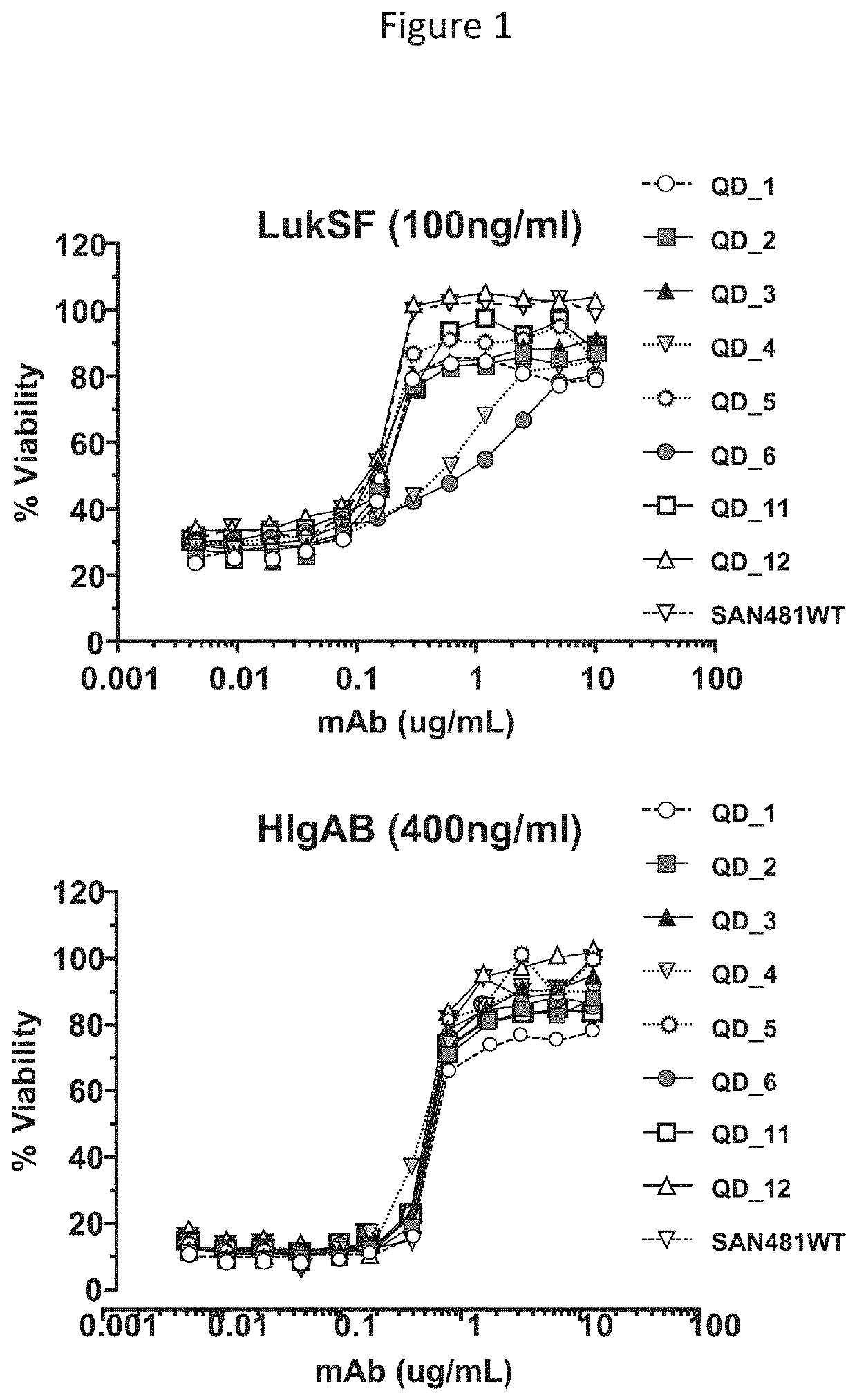 Antibodies directed against staphylococcus aureus leukotoxins