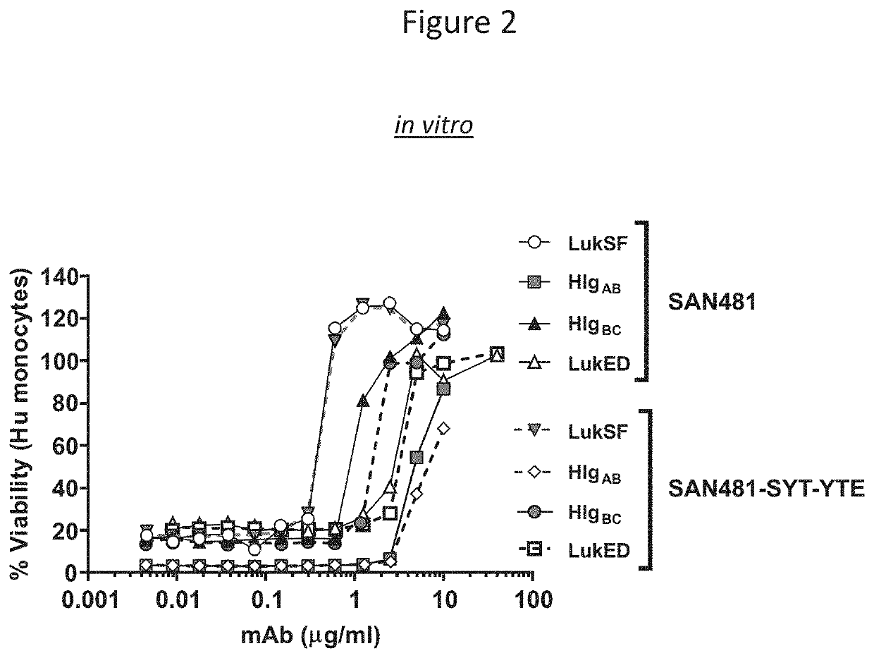 Antibodies directed against staphylococcus aureus leukotoxins