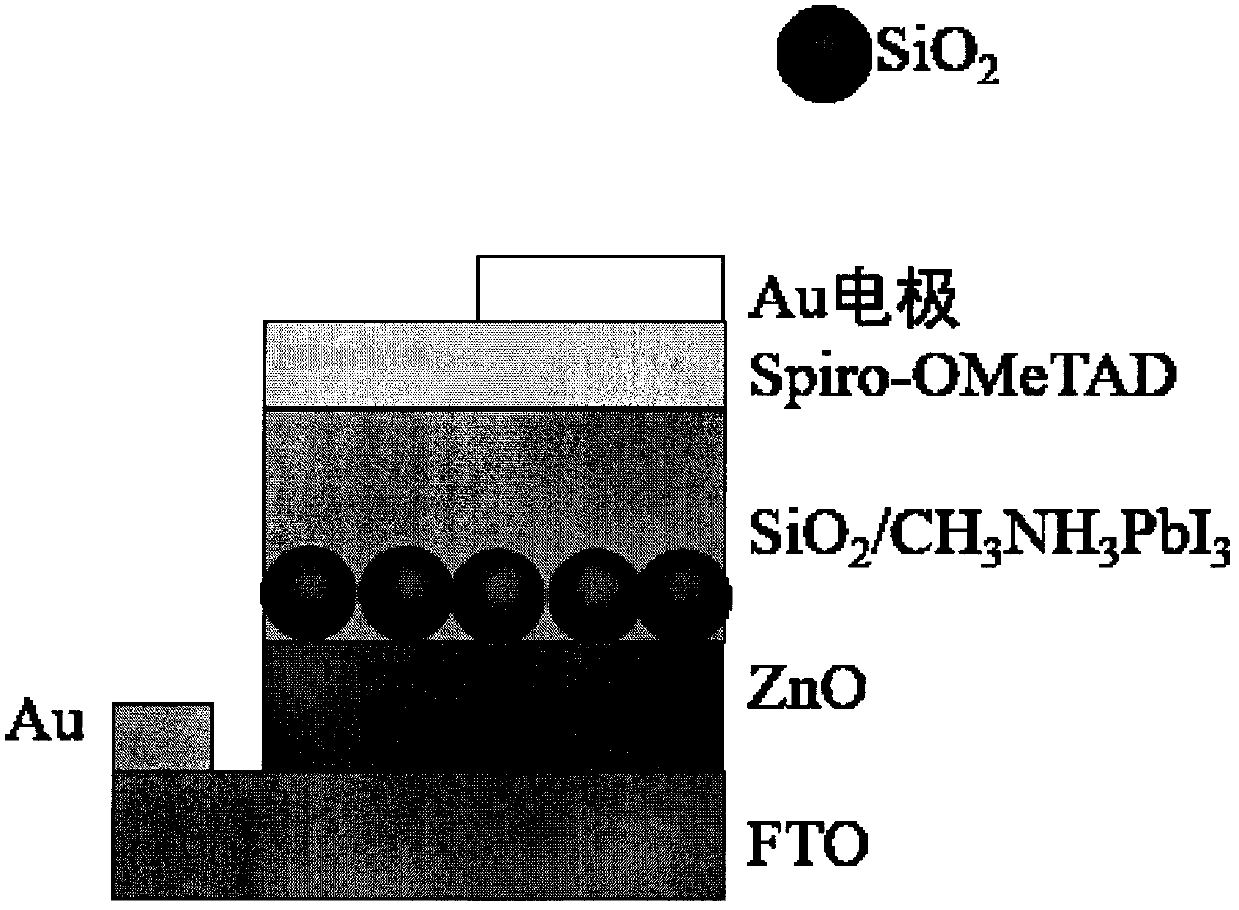 Preparation method of light absorption enhanced perovskite solar cell