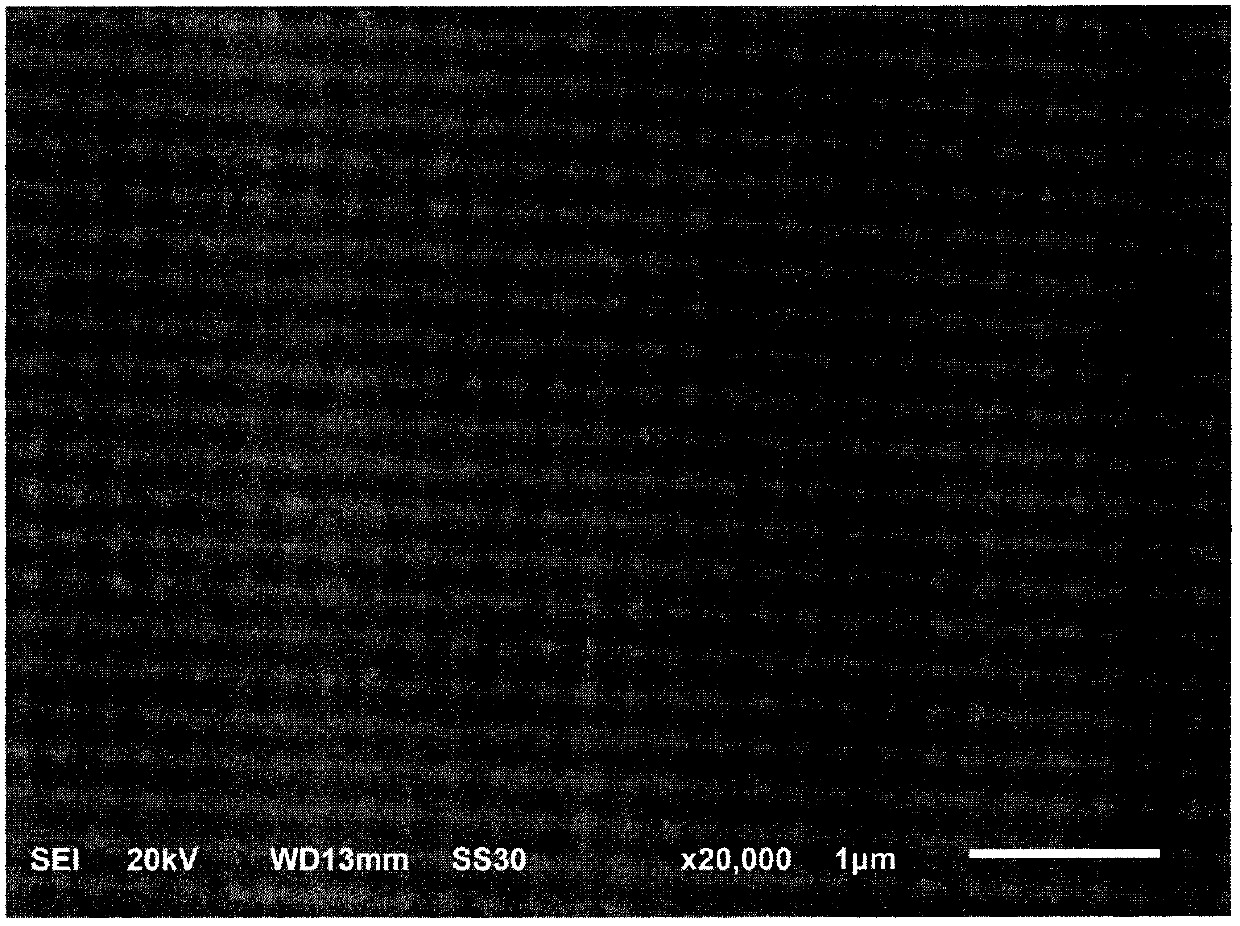 Preparation method of light absorption enhanced perovskite solar cell