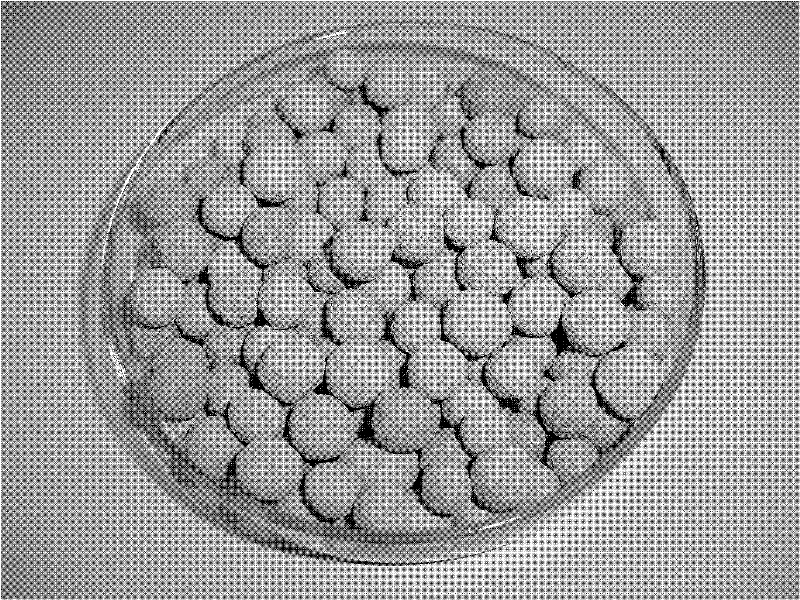 Low-density zeolite biological aerated filter filling and preparation method thereof