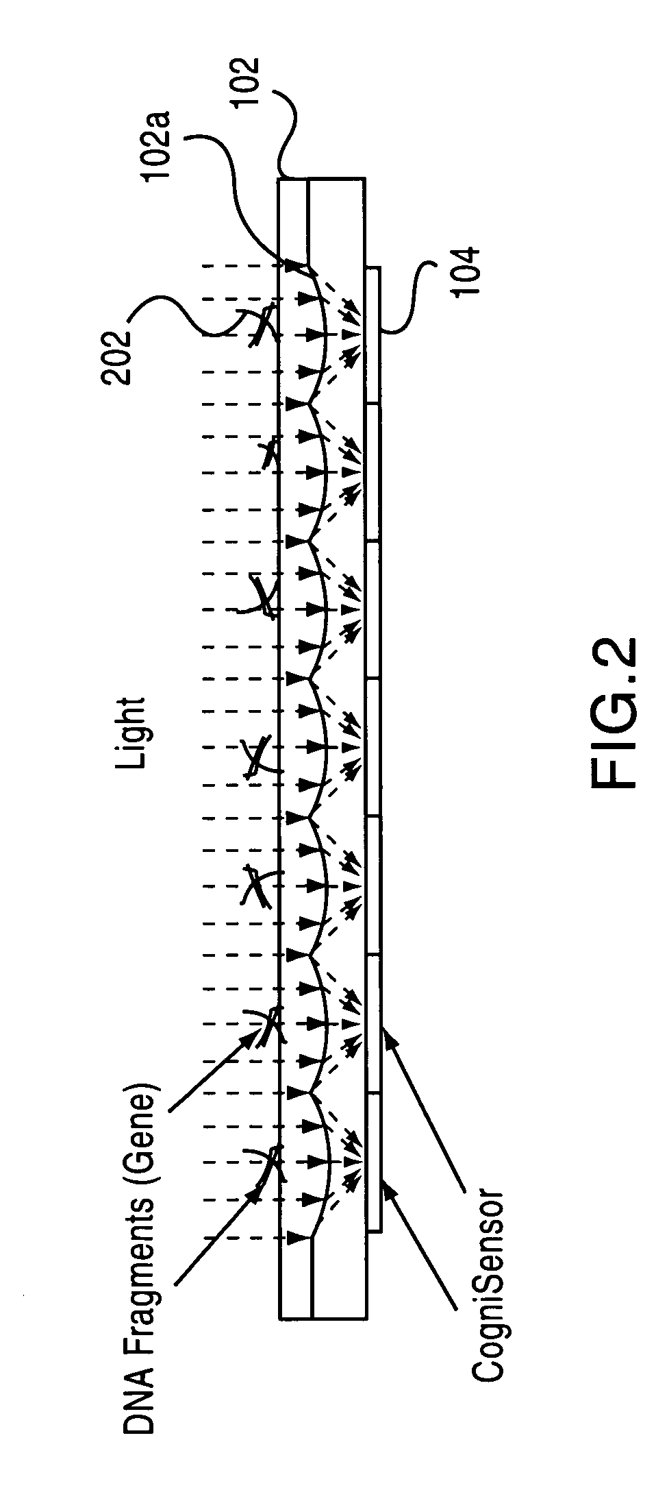 Monolithic image perception device and method