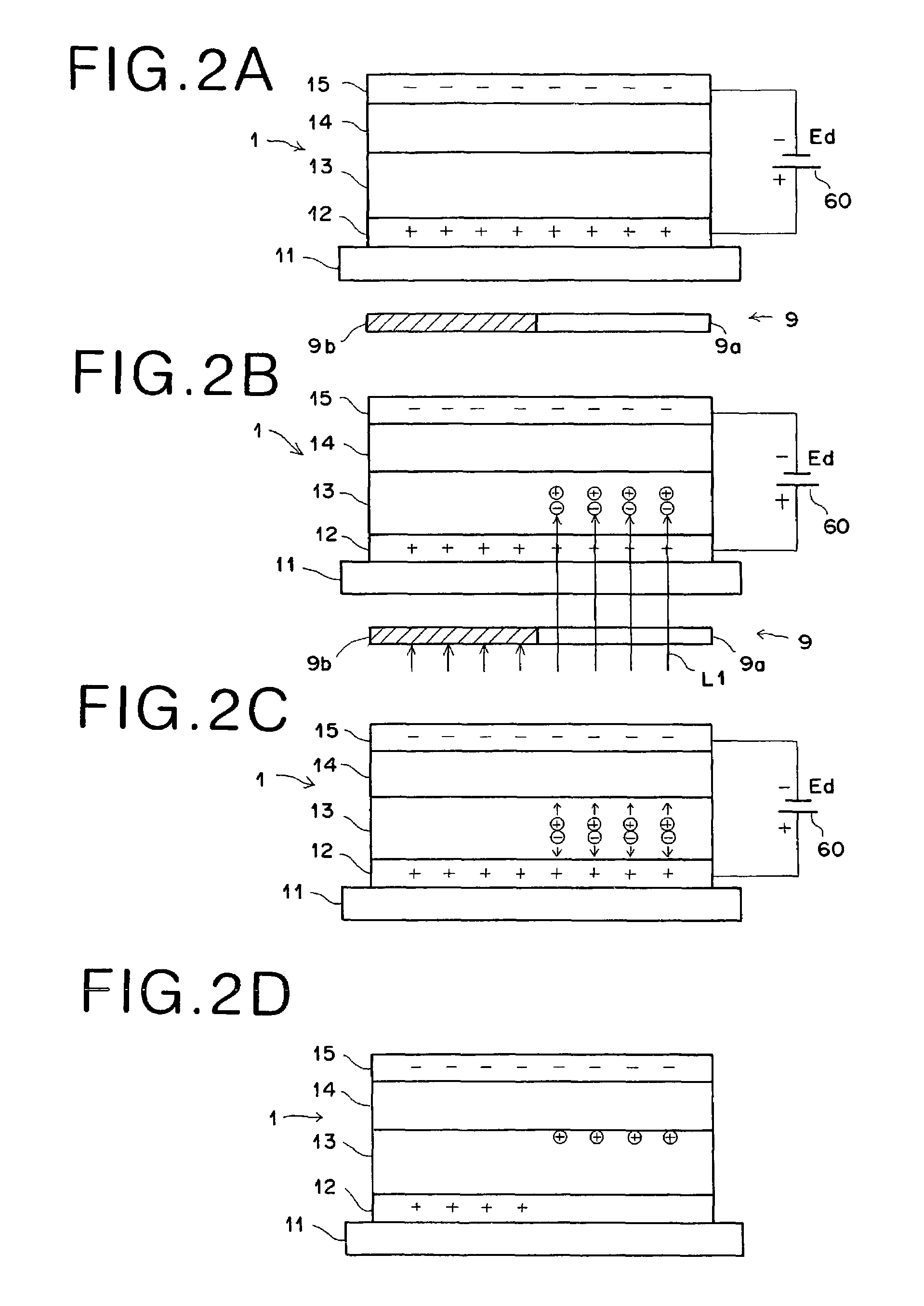 Photodetector having an electrostatic recording body and photodetecting method thereof