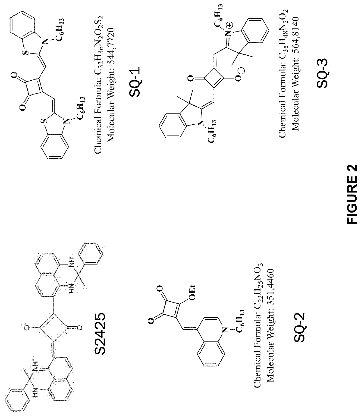 Thermal amplification of free radical polymerization induced by red to near-infrared irradiation