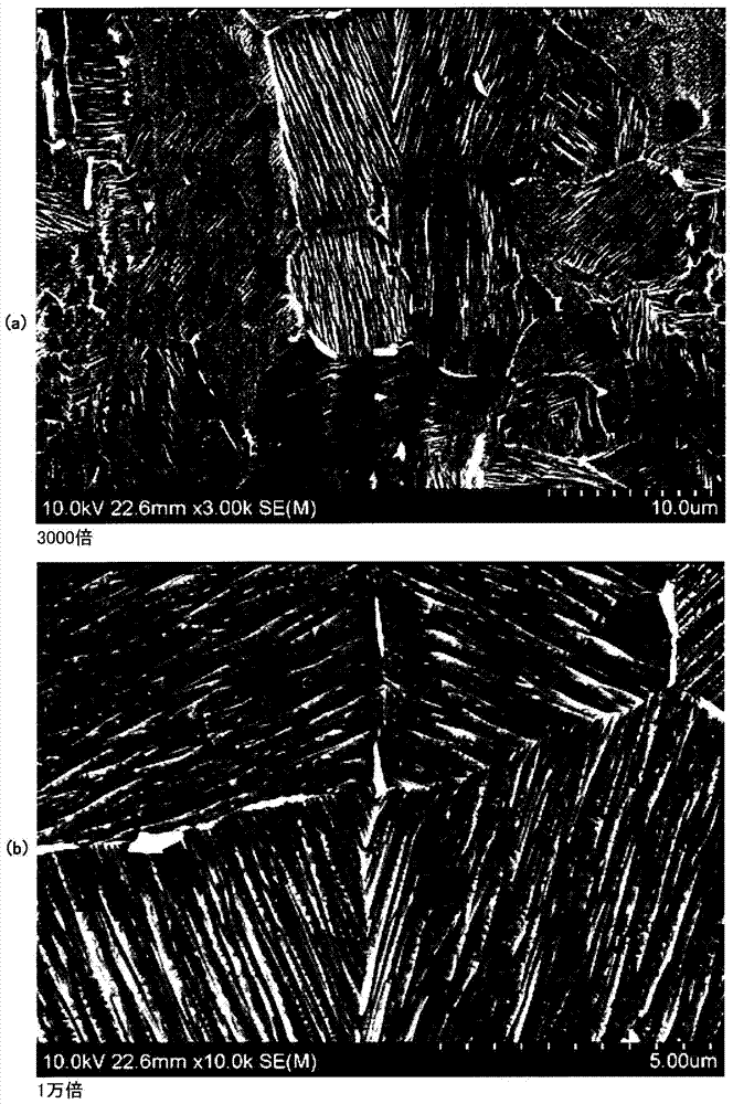 Liquid for forming microstructure film on metal surface