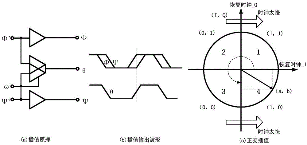 Single-event-resistant reinforced clock and data recovery circuit