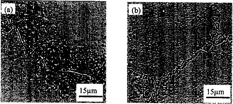 Directional solidification nickel-base high-temperature alloy and heat treatment process thereof