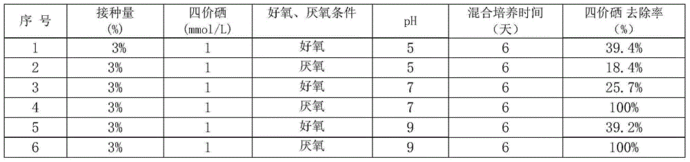 Method for purifying tetravalent selenium-containing sewage under anaerobic condition and aerobic condition by utilizing Citrobacter freundii