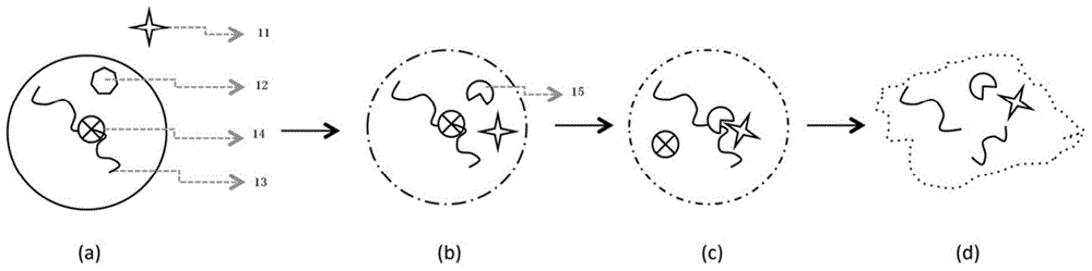 Detection method and detection kit of early-stage irreversible damage degree of cells