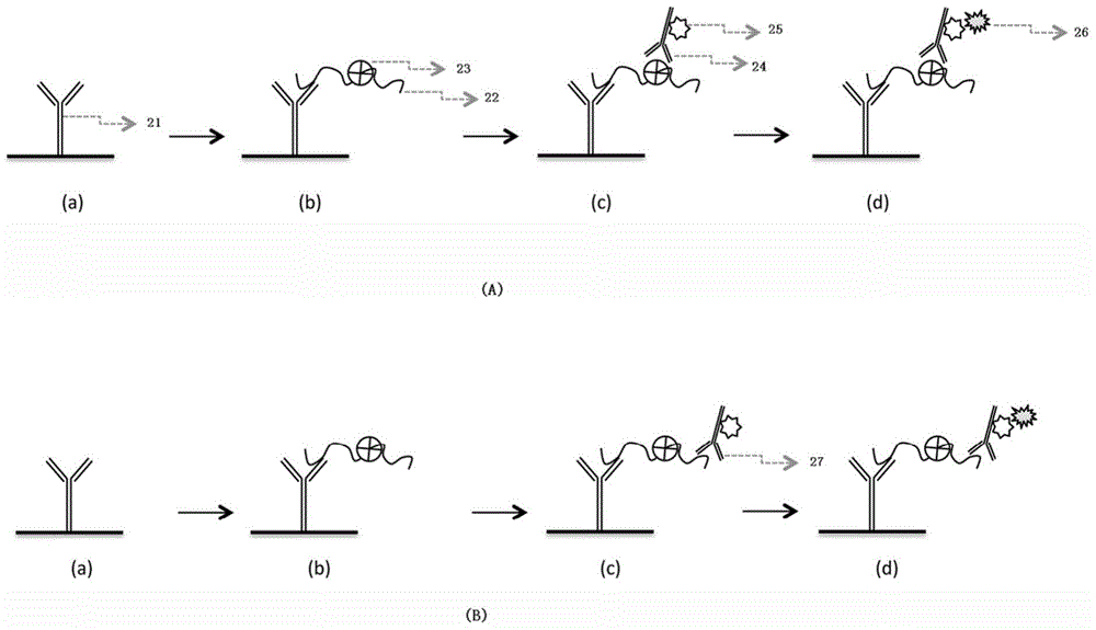 Detection method and detection kit of early-stage irreversible damage degree of cells