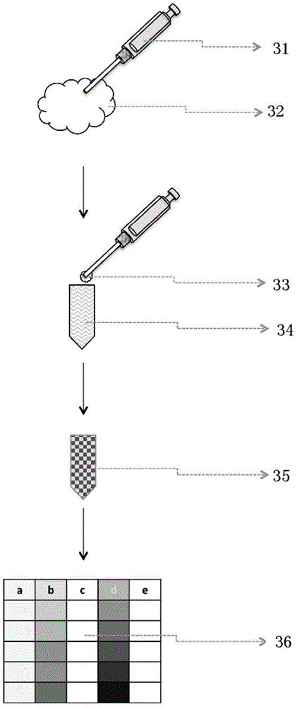 Detection method and detection kit of early-stage irreversible damage degree of cells