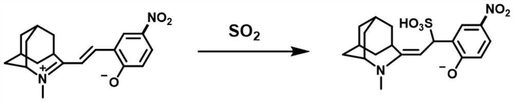 Polymer ratio fluorescence sensor with sulfur dioxide recognition function as well as preparation method and application of polymer ratio fluorescence sensor