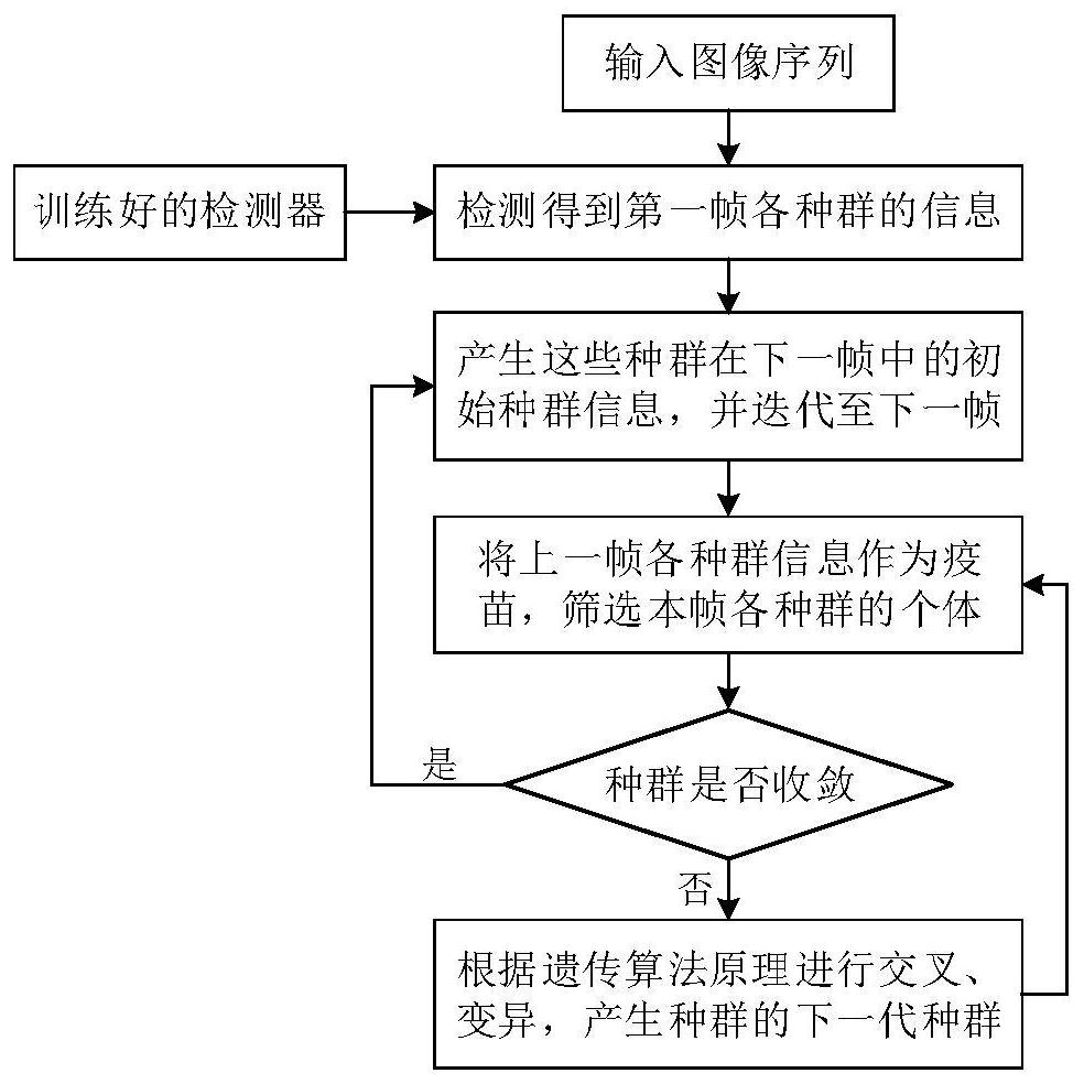 Drowning early warning method based on optical vision analysis