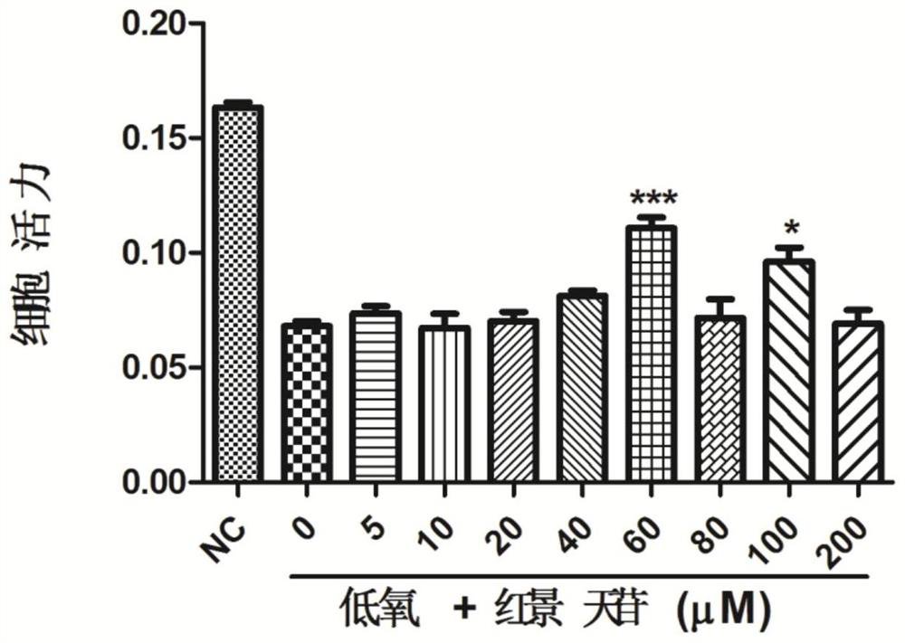 Application of salidroside in preparation of medicine for preventing and treating cardiovascular diseases caused by coronary artery endothelial cell injury