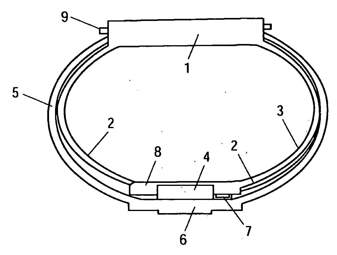 Wearable computing, input, and display device