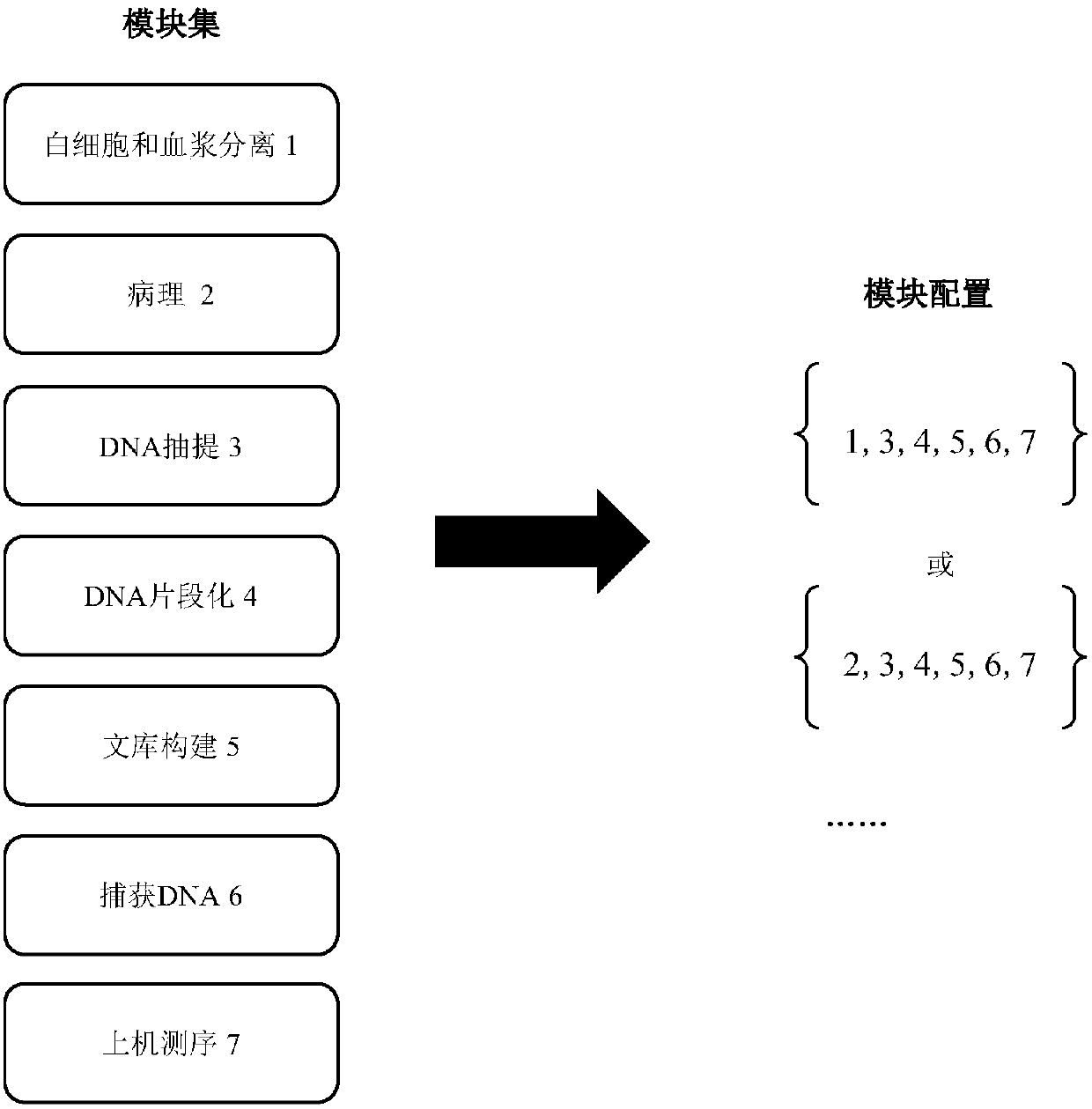 Modular system and modular method for tumor gene detection assembly line