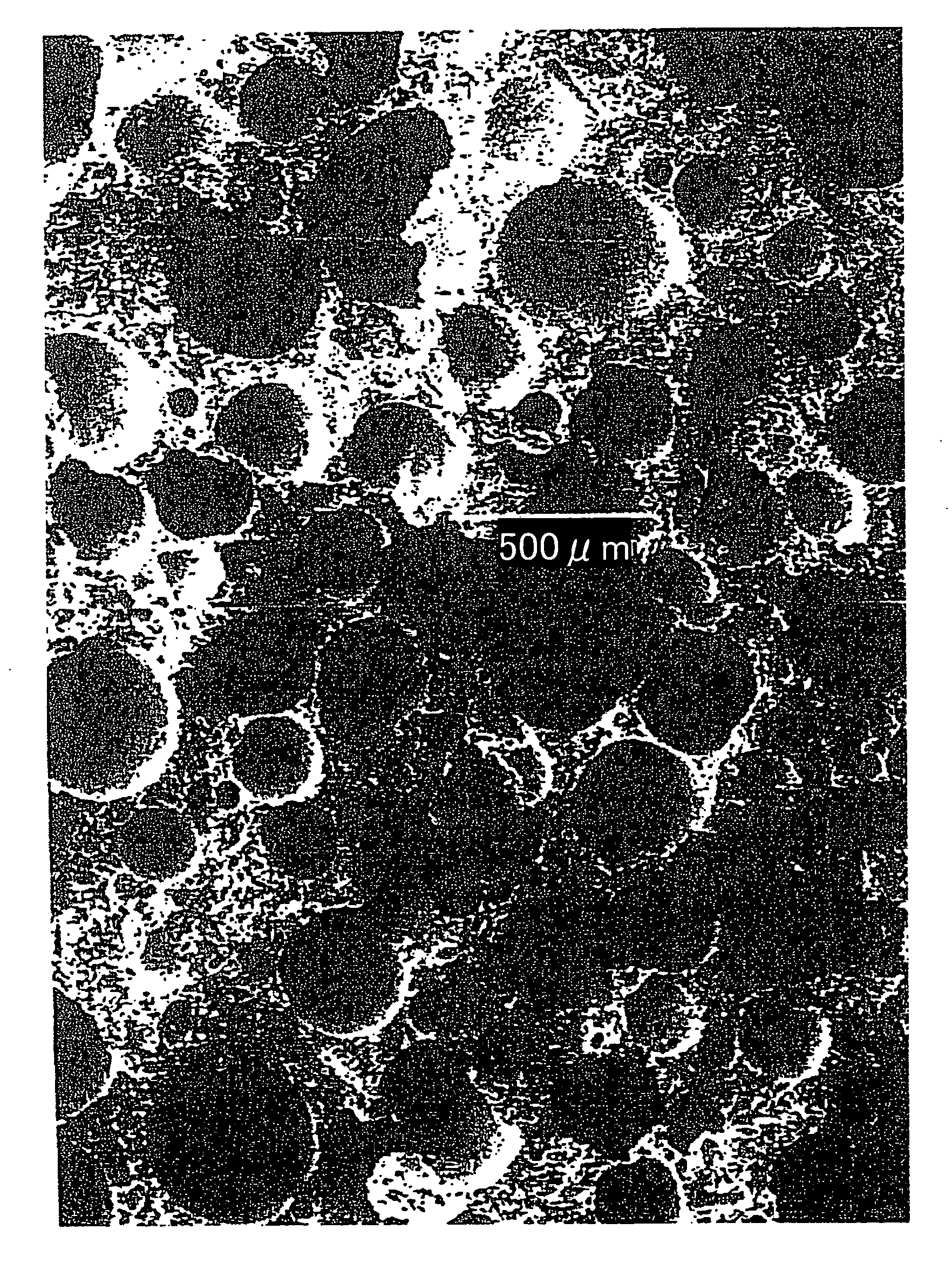 Method for producing light gypsum board