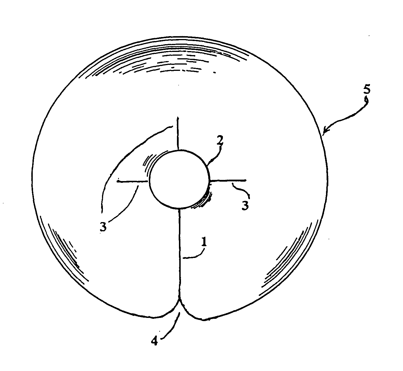 Catheter patch