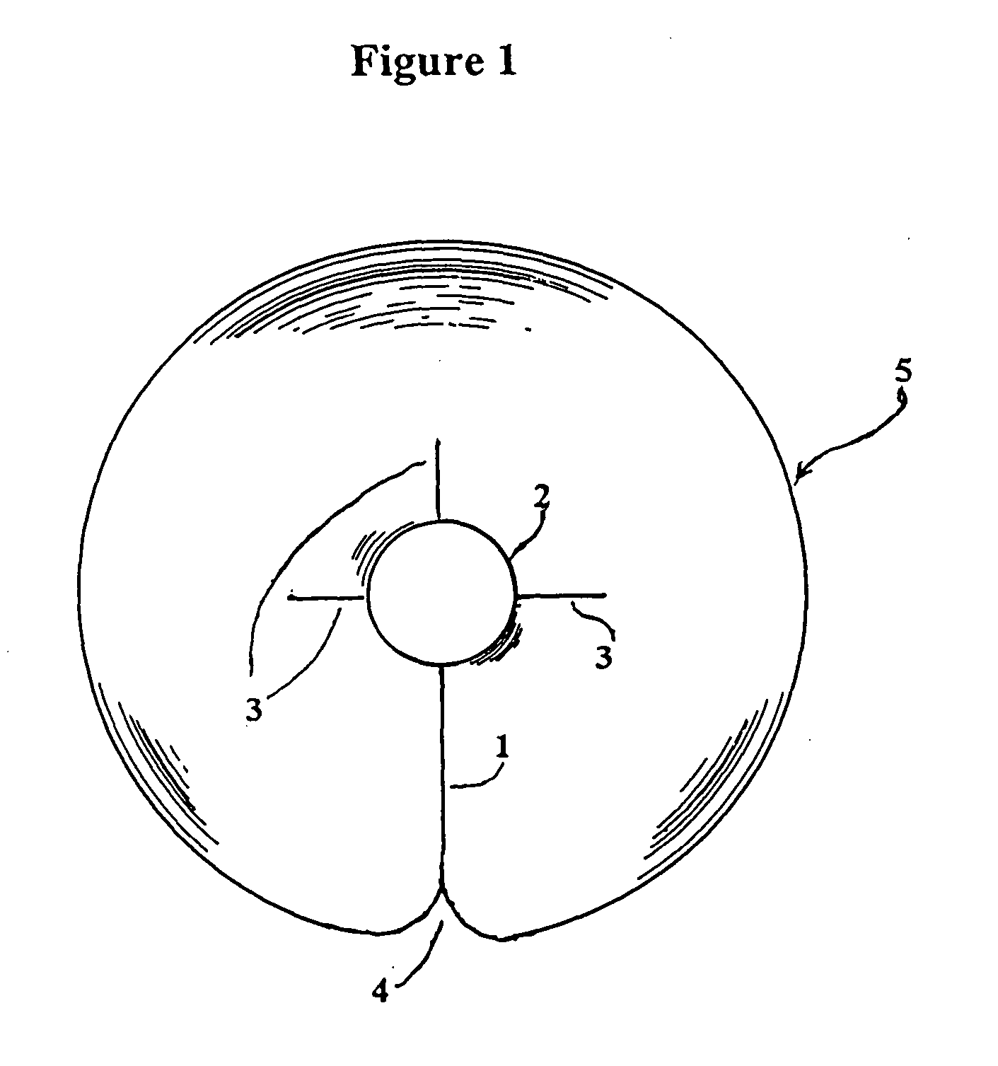 Catheter patch