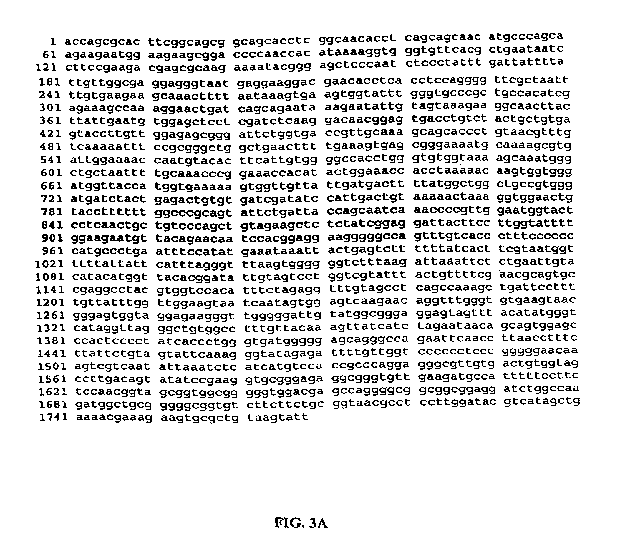 Methods to culture circovirus