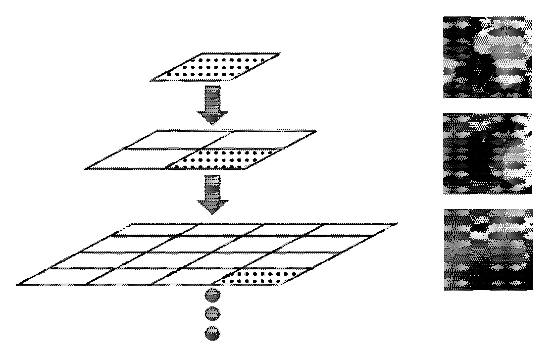 Multi-resolution image system