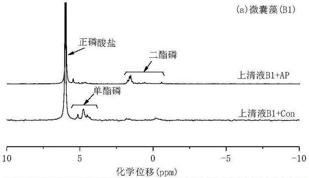 Degradation method for detecting alga organic phosphorus in lakes and application thereof