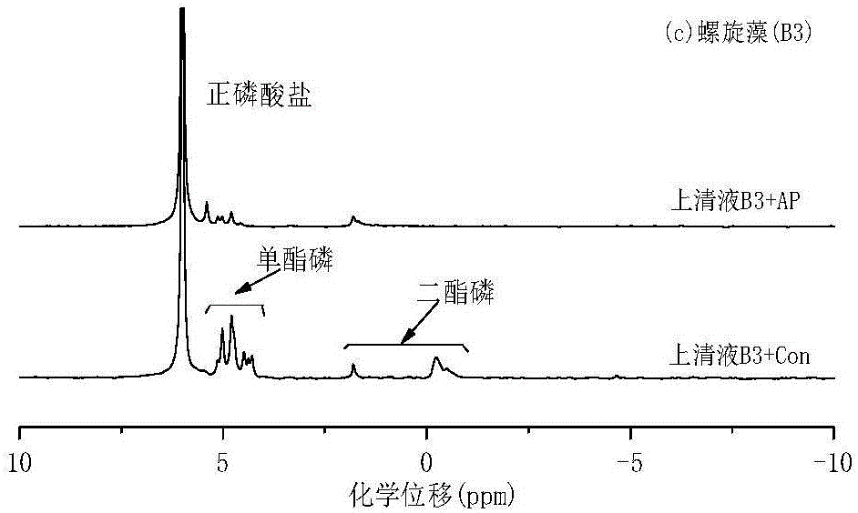 Degradation method for detecting alga organic phosphorus in lakes and application thereof