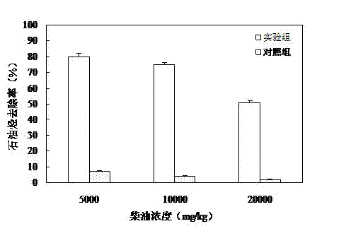 Method for repairing diesel oil polluted soil by fringed iris herbs