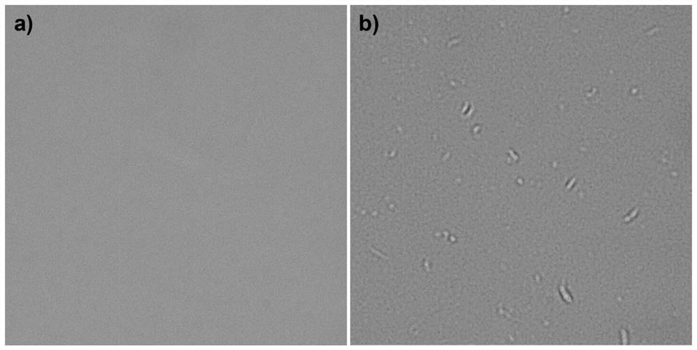 Phytosterol composition for cosmetics and its preparation method and use