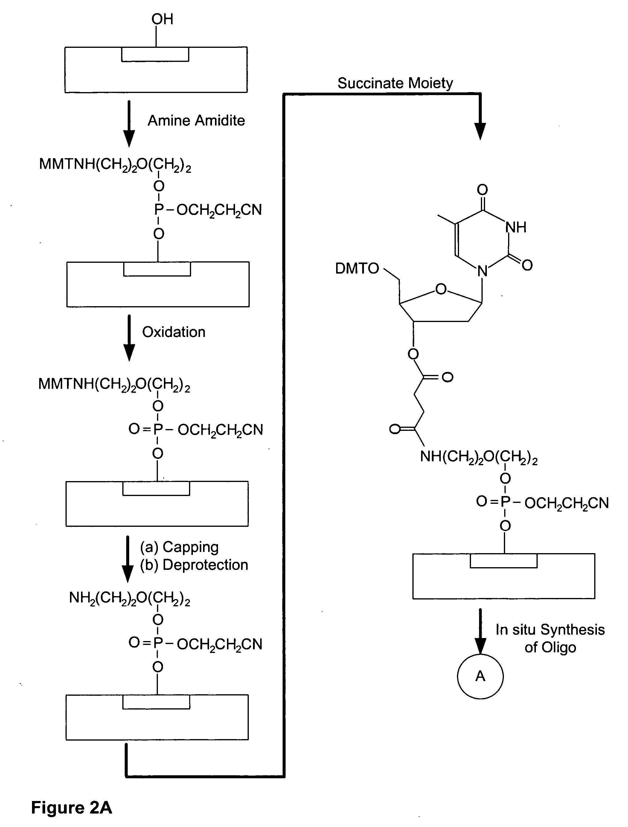 Microarray having a base cleavable succinate linker