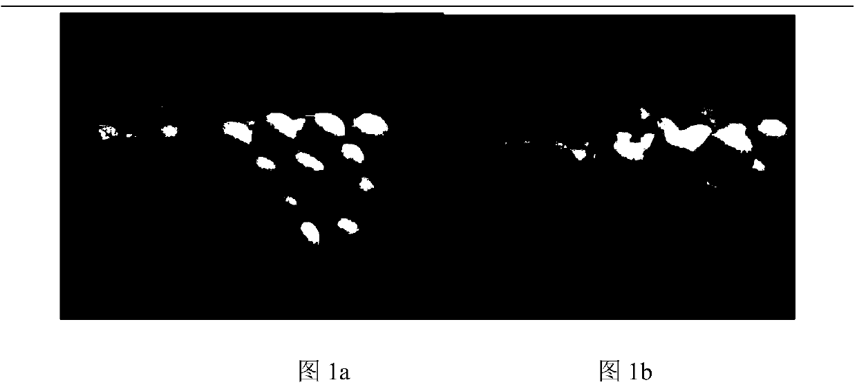 Freeze-drying concentrated glucose detection reagent microsphere and preparation method thereof