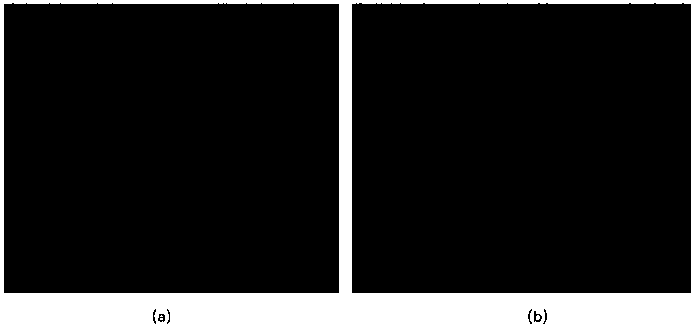 Recombinant carrot antifreeze protein gene CaAFP and application thereof