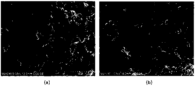 Recombinant carrot antifreeze protein gene CaAFP and application thereof