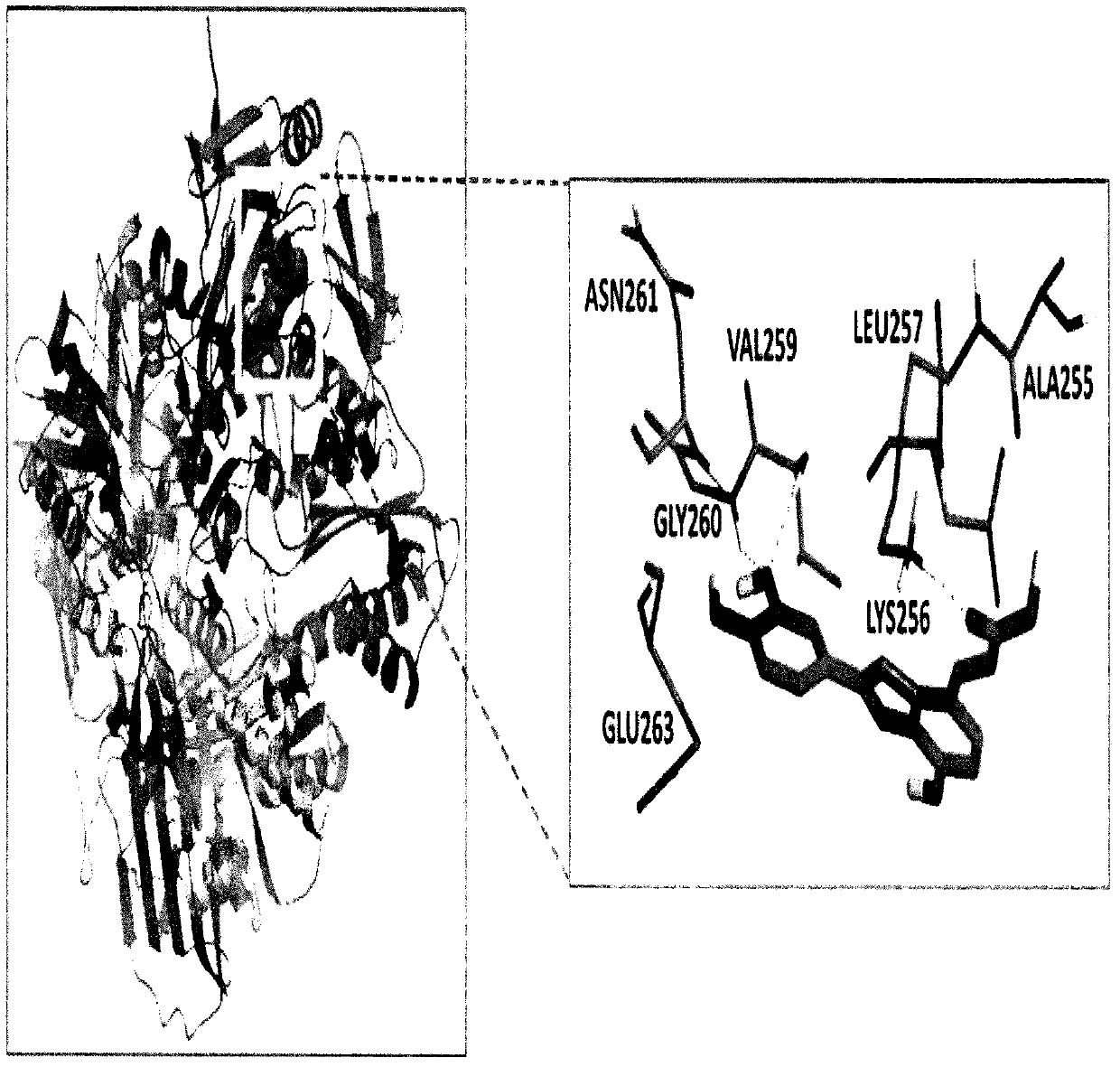 Use of 2-arylbenzofuran derivative in preparing of gout drugs