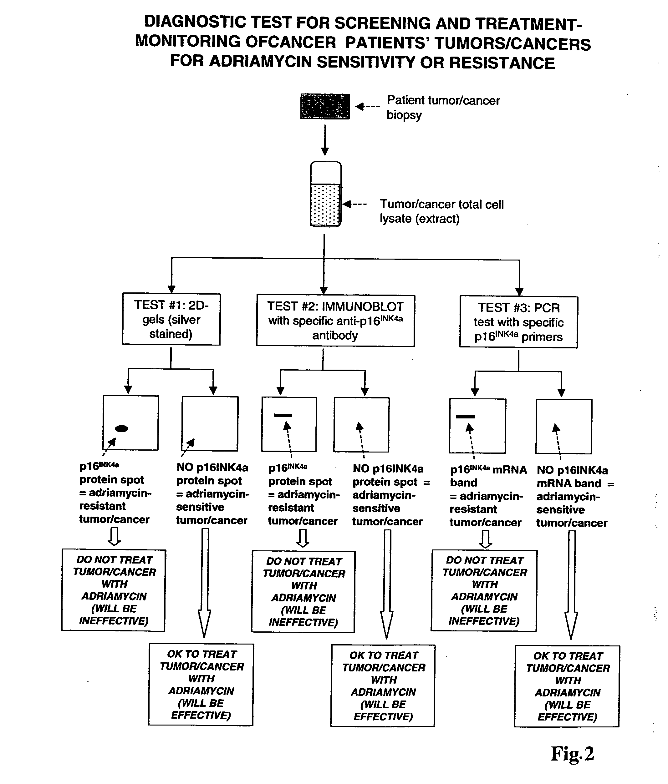 Methods for identifying chemotherapeutic resistance in non-hematopoietic tumors