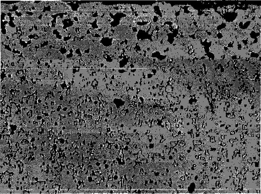 Metal ceramic inert anode for molten salt electrolysis and preparation method thereof