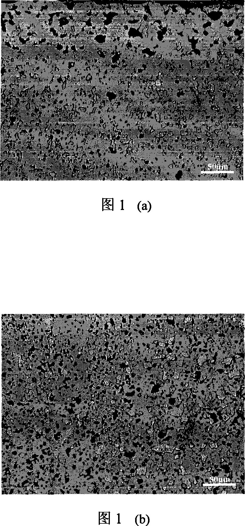 Metal ceramic inert anode for molten salt electrolysis and preparation method thereof