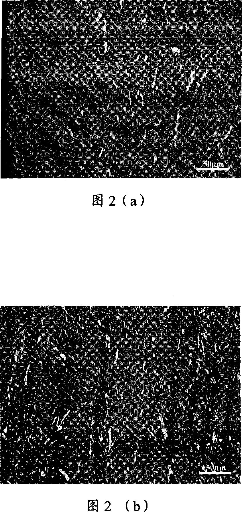 Metal ceramic inert anode for molten salt electrolysis and preparation method thereof