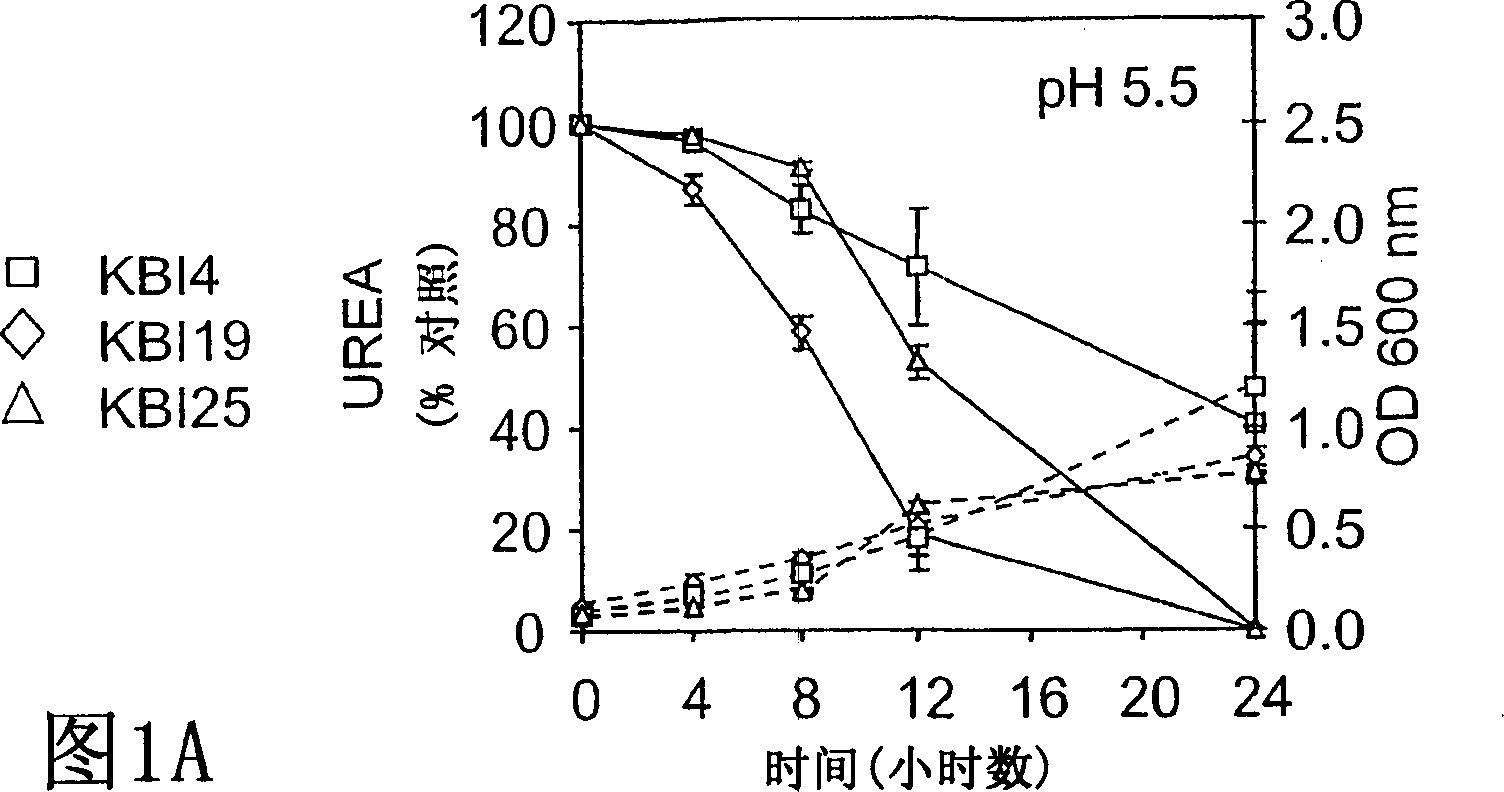 Compositions and methods for augmenting kidney function