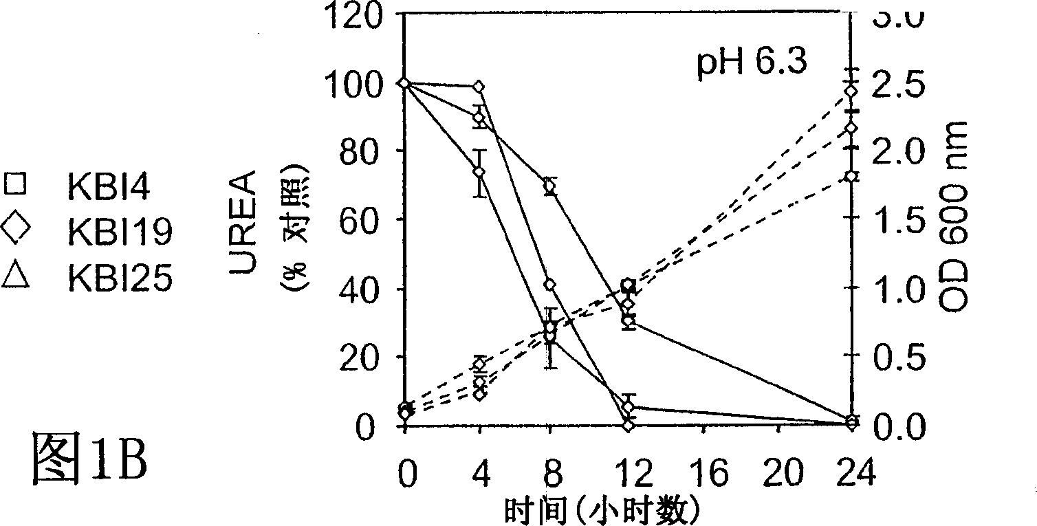 Compositions and methods for augmenting kidney function