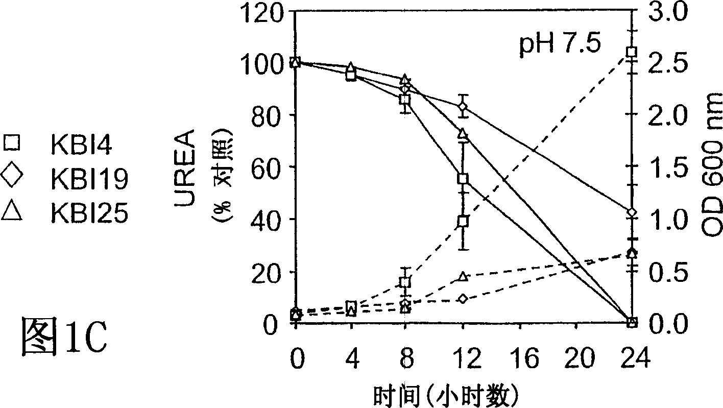 Compositions and methods for augmenting kidney function