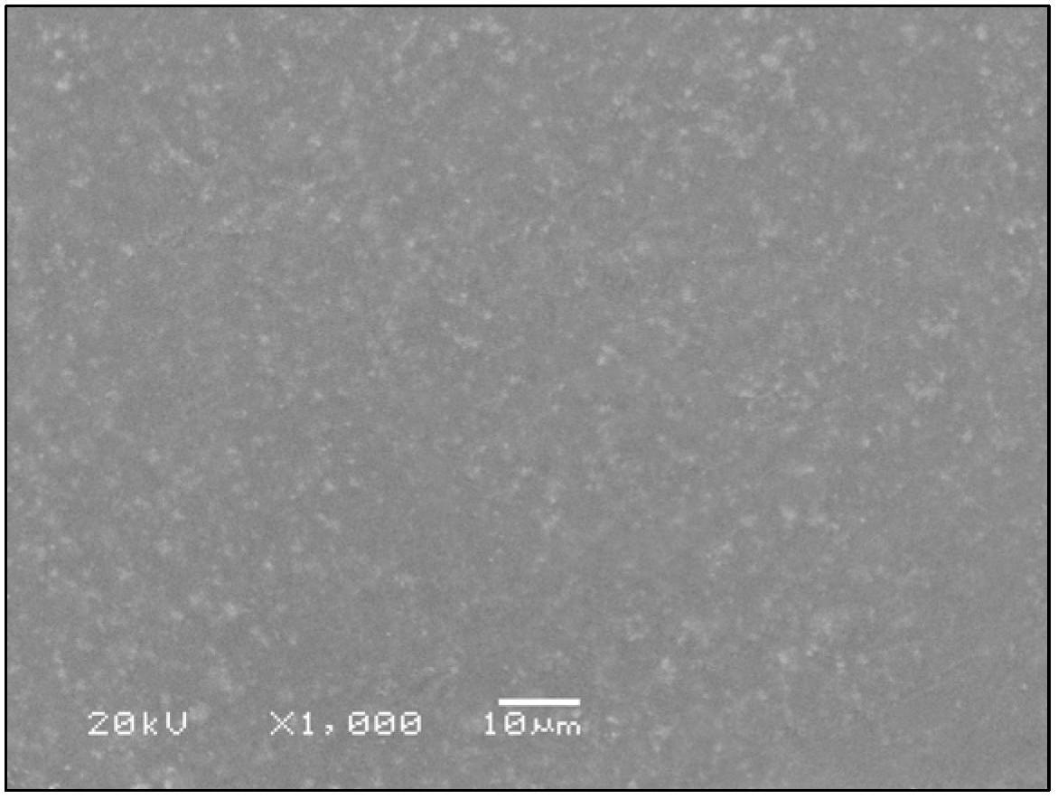 Magnesium alloy microarc oxidation-electrophoresis composite coating and preparation method thereof