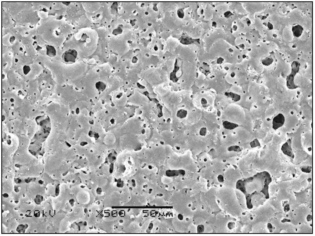 Magnesium alloy microarc oxidation-electrophoresis composite coating and preparation method thereof