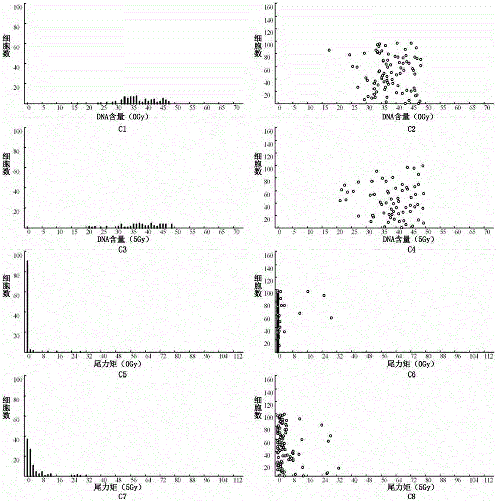 Detection method of radiosensitivity of solid tumor cells