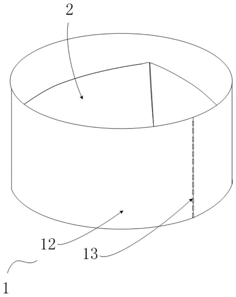 Heart valve prosthesis, artificial valve formed by heart valve prosthesis and preparation method of artificial valve